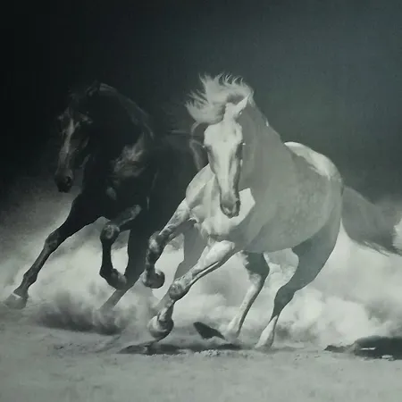 Apartament Paradita Del Camino