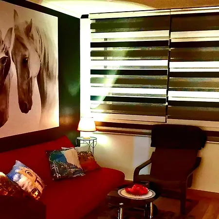 Paradita Del Camino Sarria