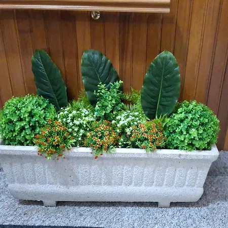 Paradita Del Camino Apartament Sarria